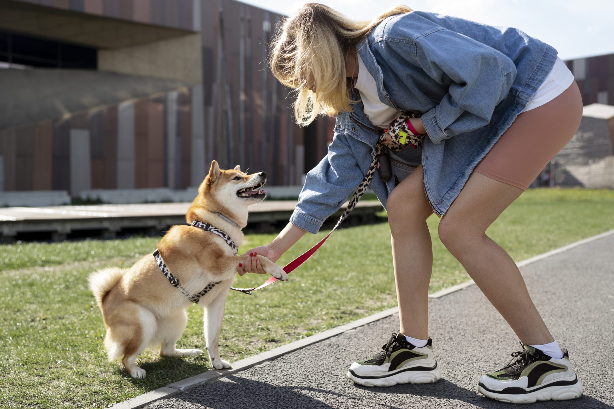 cute-shiba-inu-pet-with-family-scaled.jpg cute-shiba-inu-pet-with-family-scaled.jpg